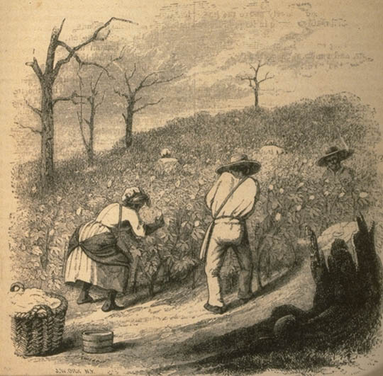 Men and women in the field by T.B. Thorpe of Louisiana. Harper's New Monthly Magazine (1853-54), vol. 8, p. 456.